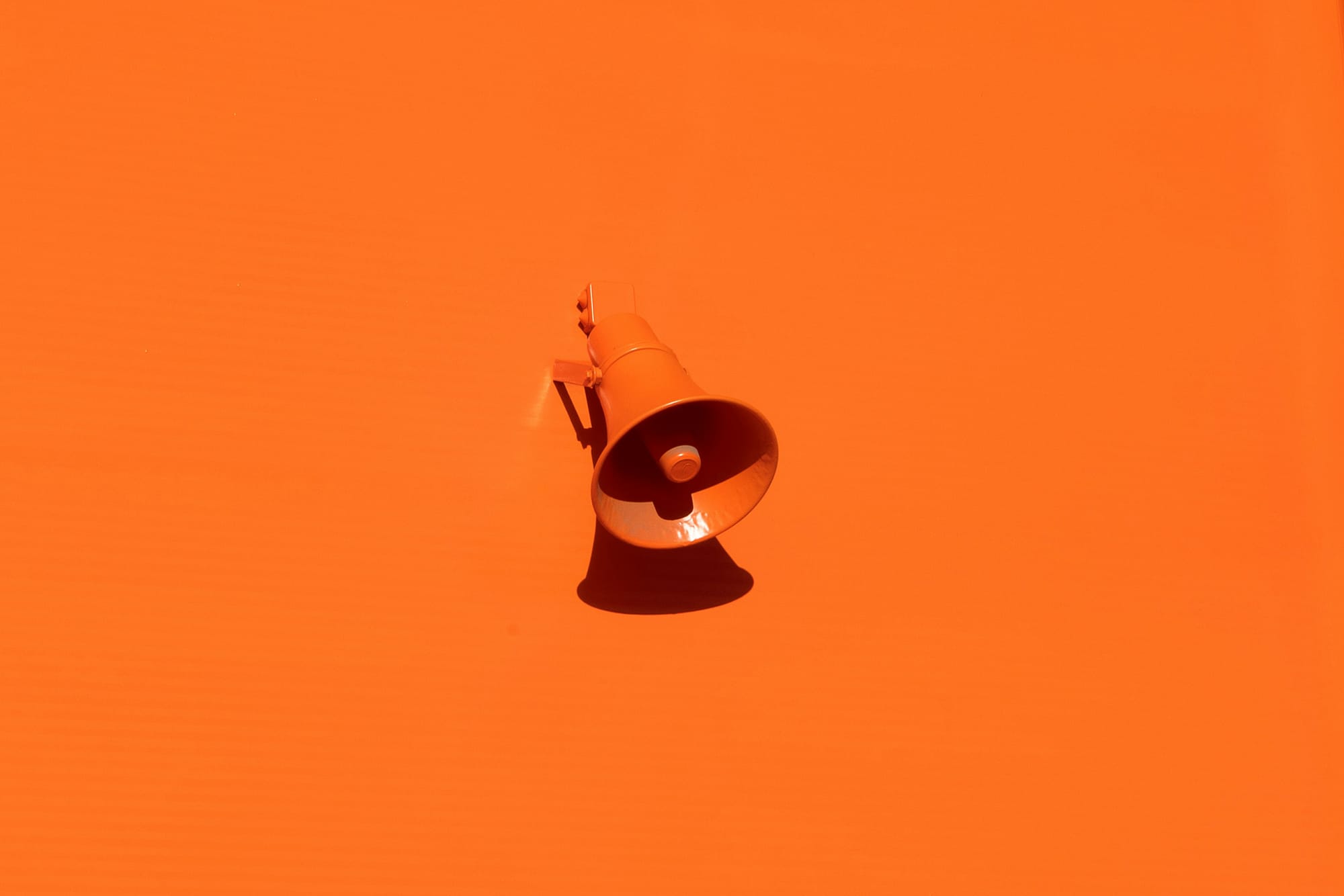 The Influence and Influencer Problem