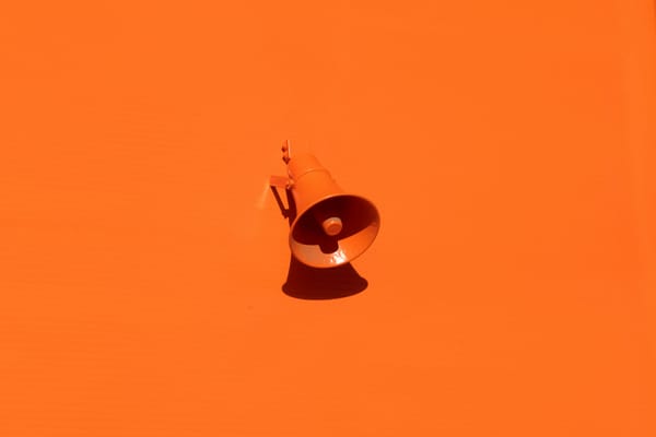 The Influence and Influencer Problem